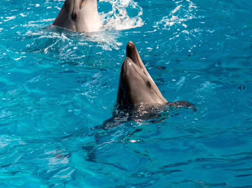 Things to Do in Destin