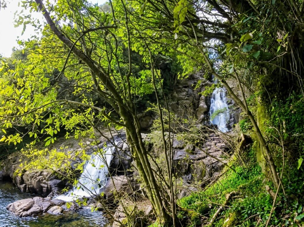 things to do in tauranga