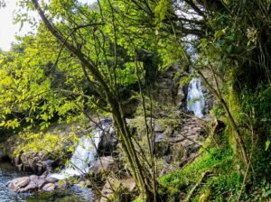 things to do in tauranga