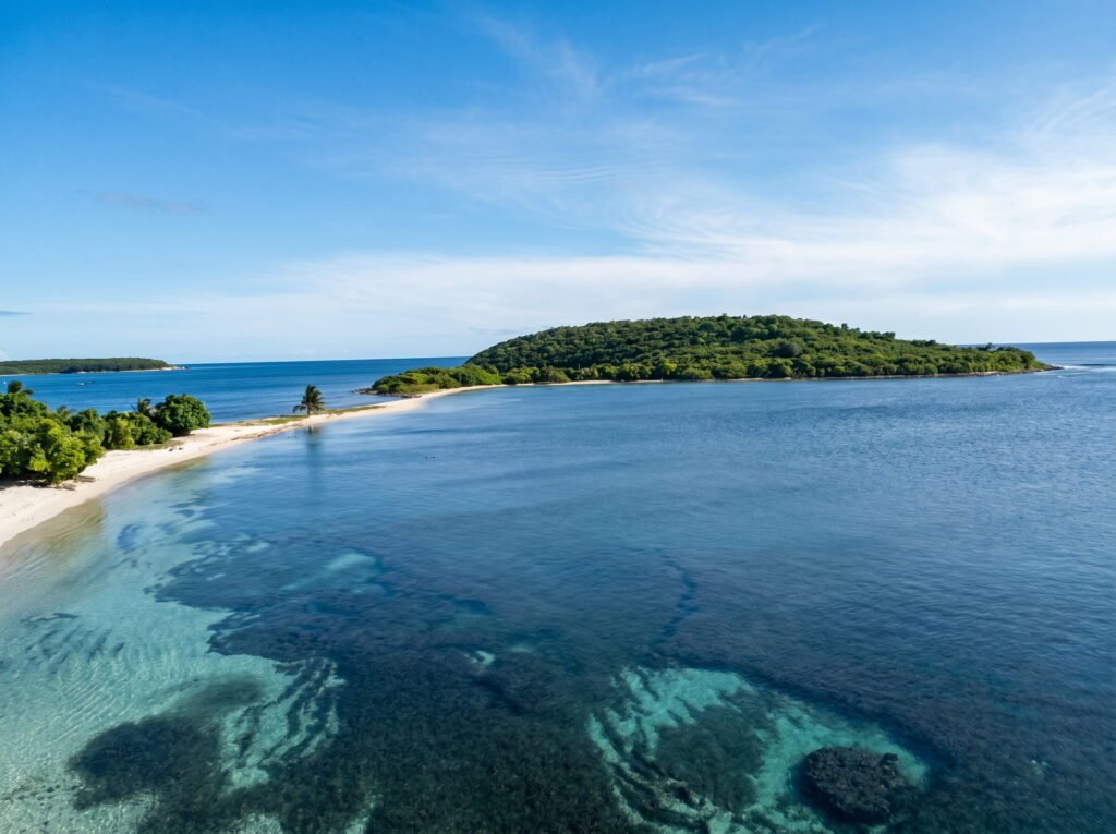 Beautiful Vieques Island beach in Puerto Rico with turquoise water, white sand, wild horses, and tropical coastal scenery under a sunny sky.