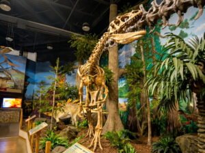 The 27 Best Things to Do in Cocoa Beach, Florida